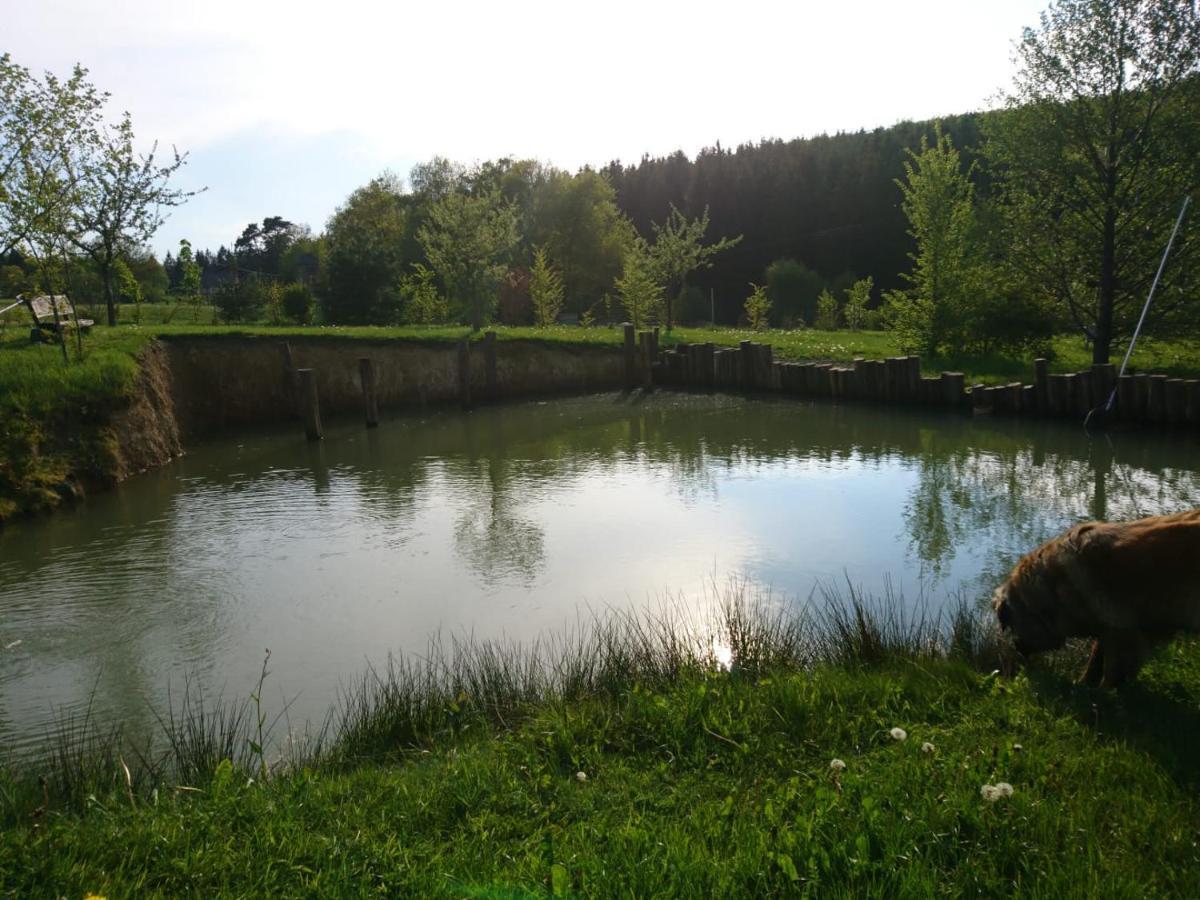 Ferienwohnung Hohe Acht Kaltenborn  ภายนอก รูปภาพ
