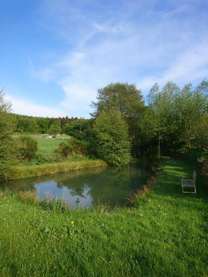Ferienwohnung Hohe Acht Kaltenborn  ภายนอก รูปภาพ