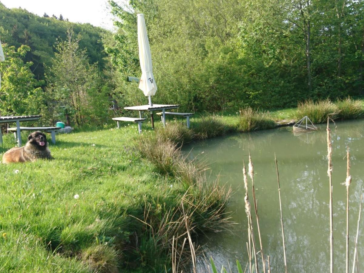 Ferienwohnung Hohe Acht Kaltenborn  ภายนอก รูปภาพ